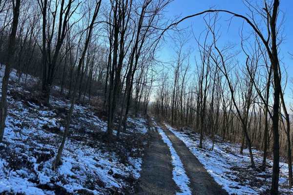 Locust Gap 7 - South
