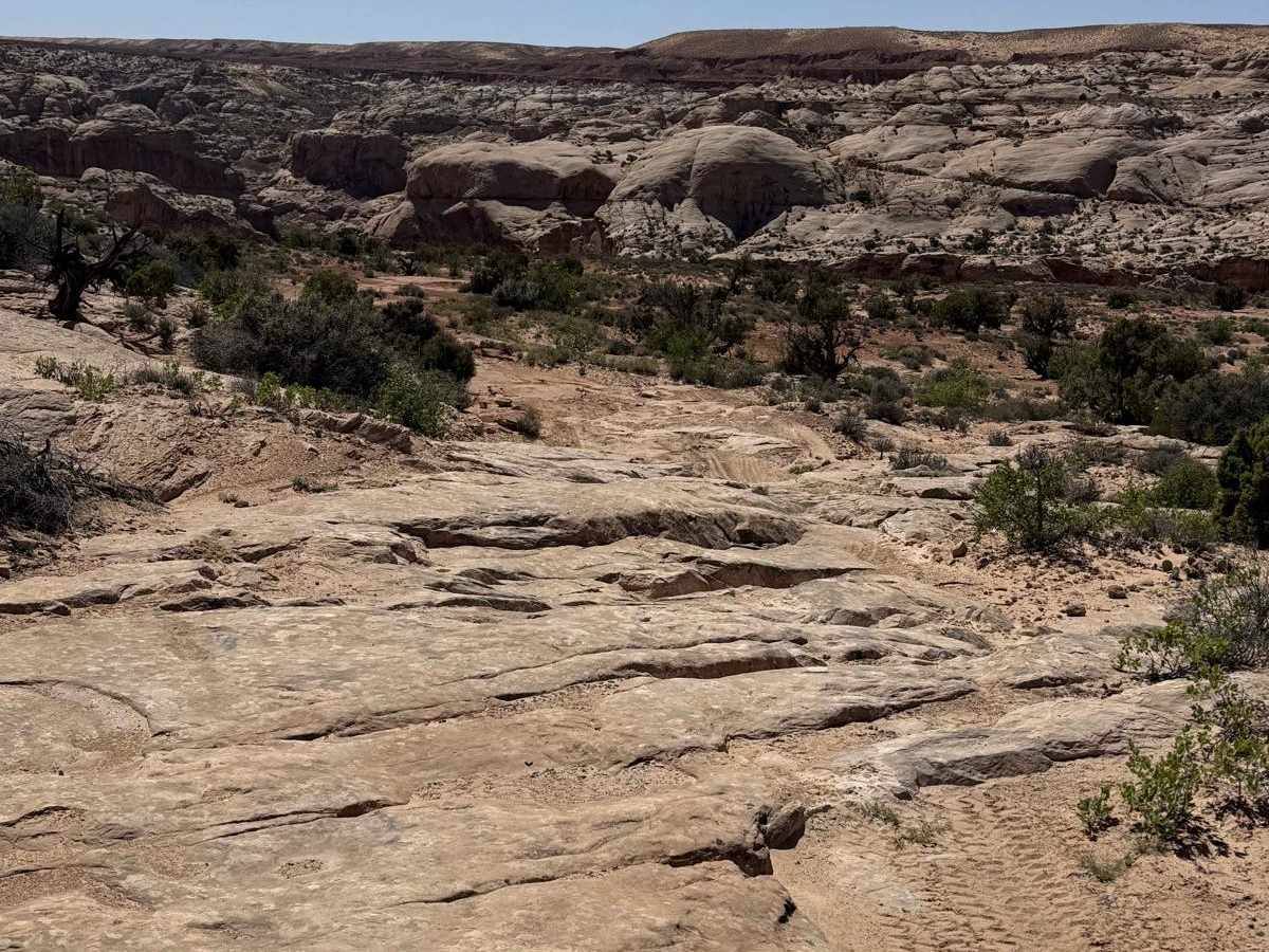 East Horseshoe Canyon photo 3