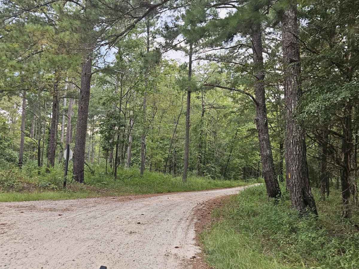 Cold Springs Road - FS 1245 photo 4