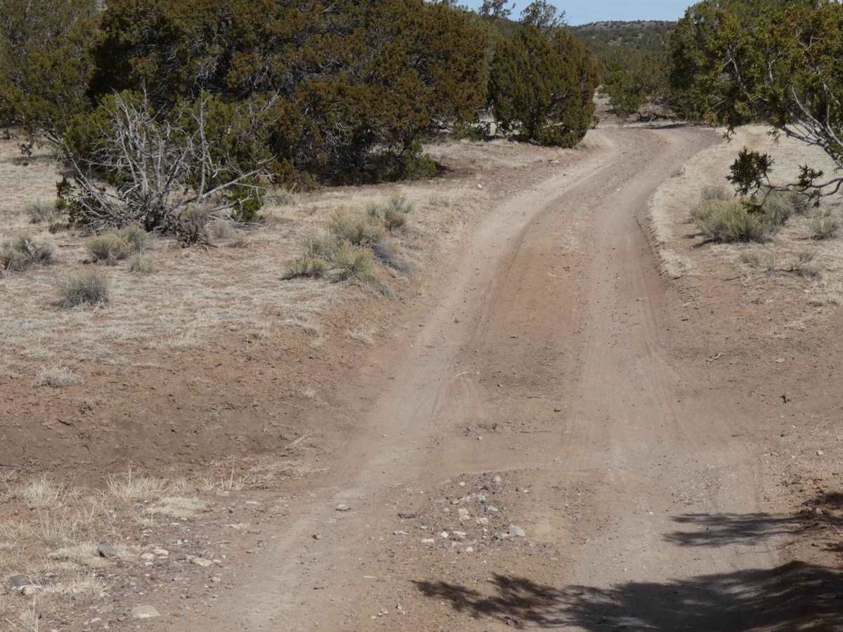 Ortiz Mountain Pass photo 5
