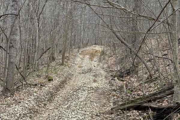 Trail 16