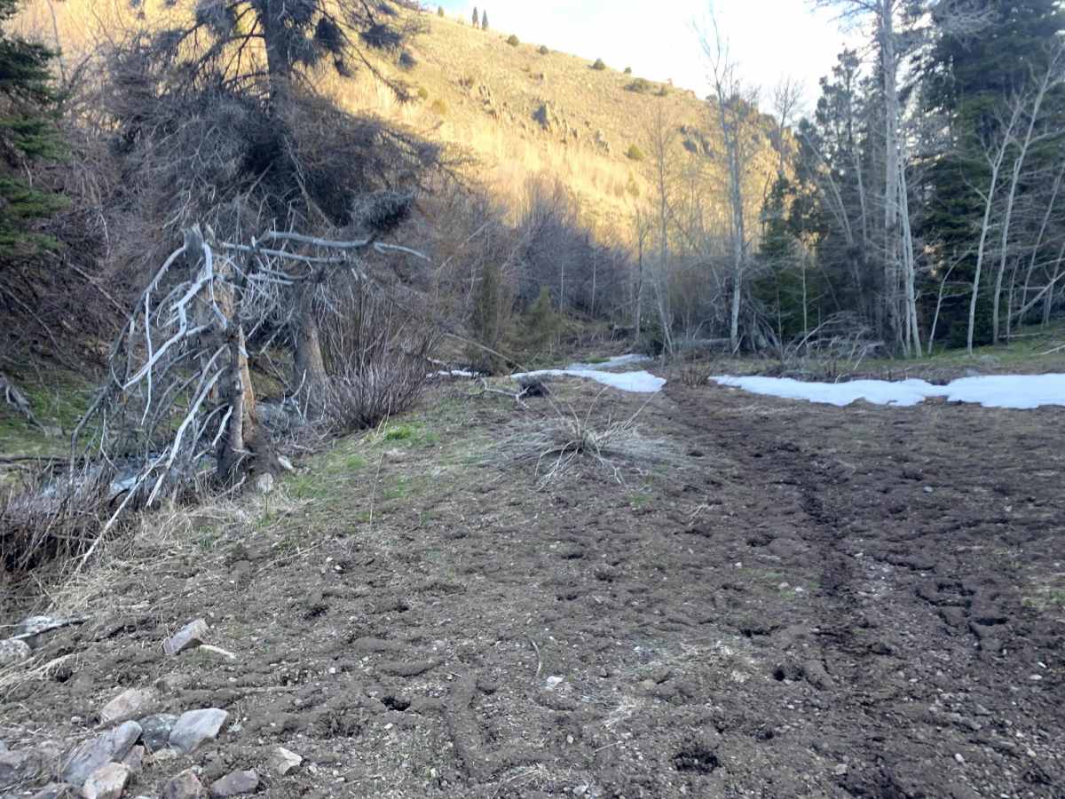 Second Fork photo 6