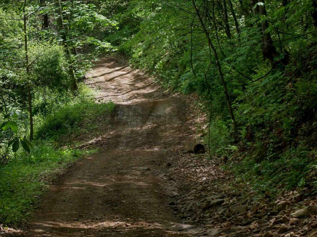 PC 38 photo 5