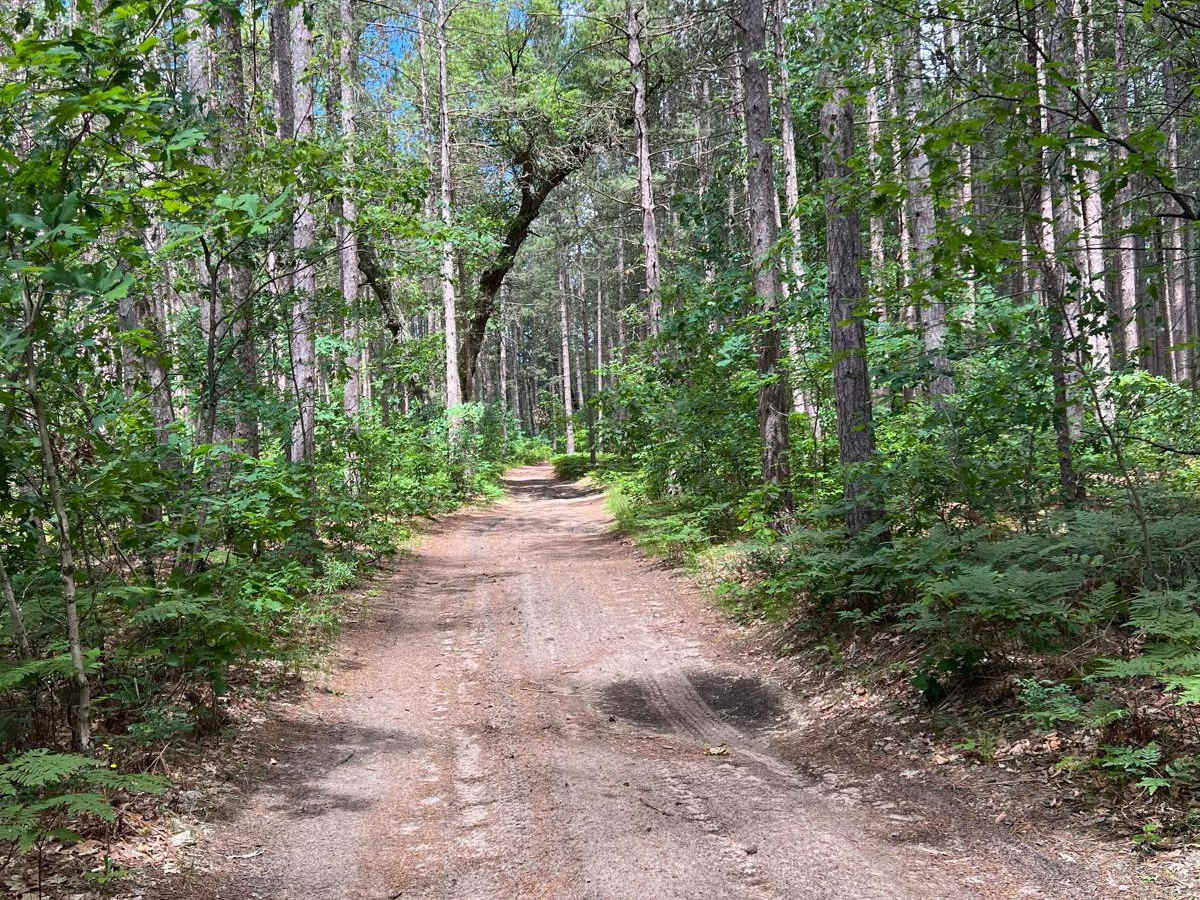 NFS 5116 photo 6