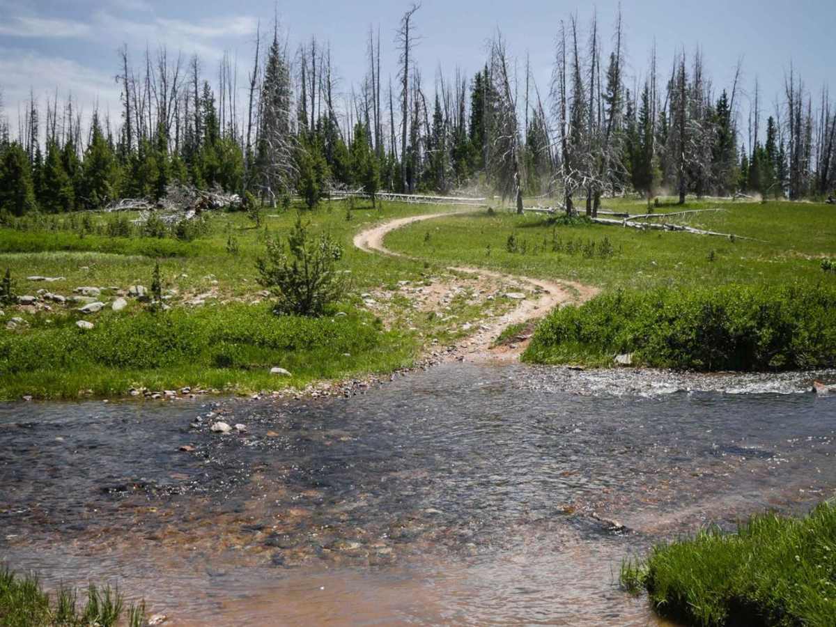 Wyoming ATV Trail photo 6
