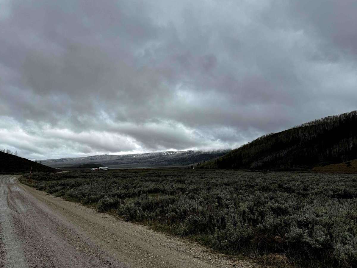 Strawberry River Road trail photo