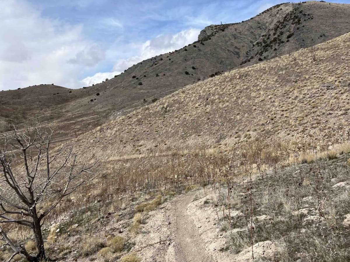 Exorcist trail photo