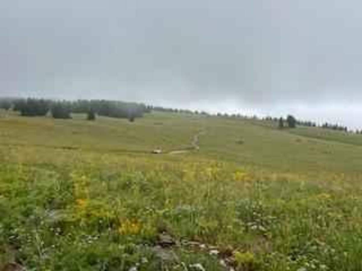 Main Elk Creek photo 6
