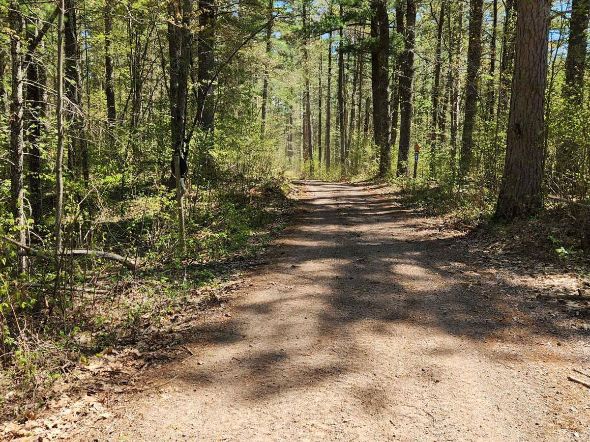 Trail 77 photo 2
