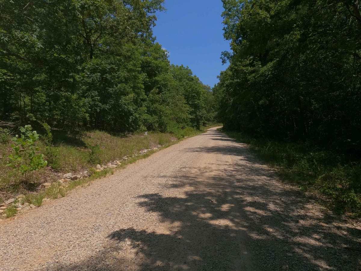 Castor River CA Camp Road photo 2