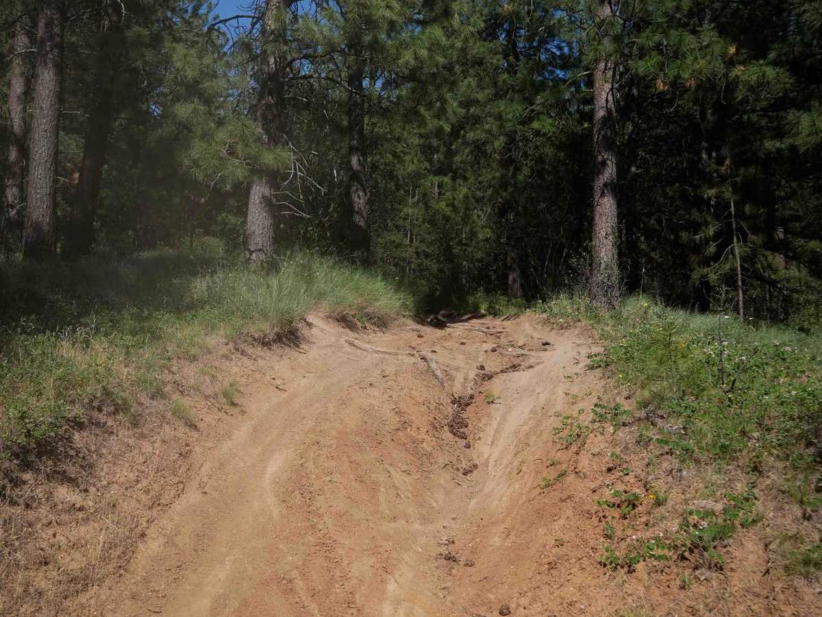 Fence Run photo 4