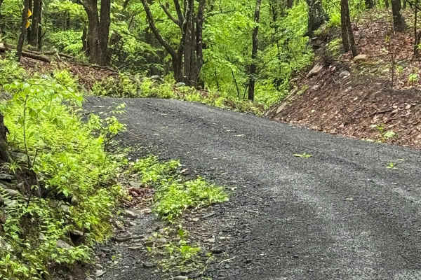 Denman Mountain Rd