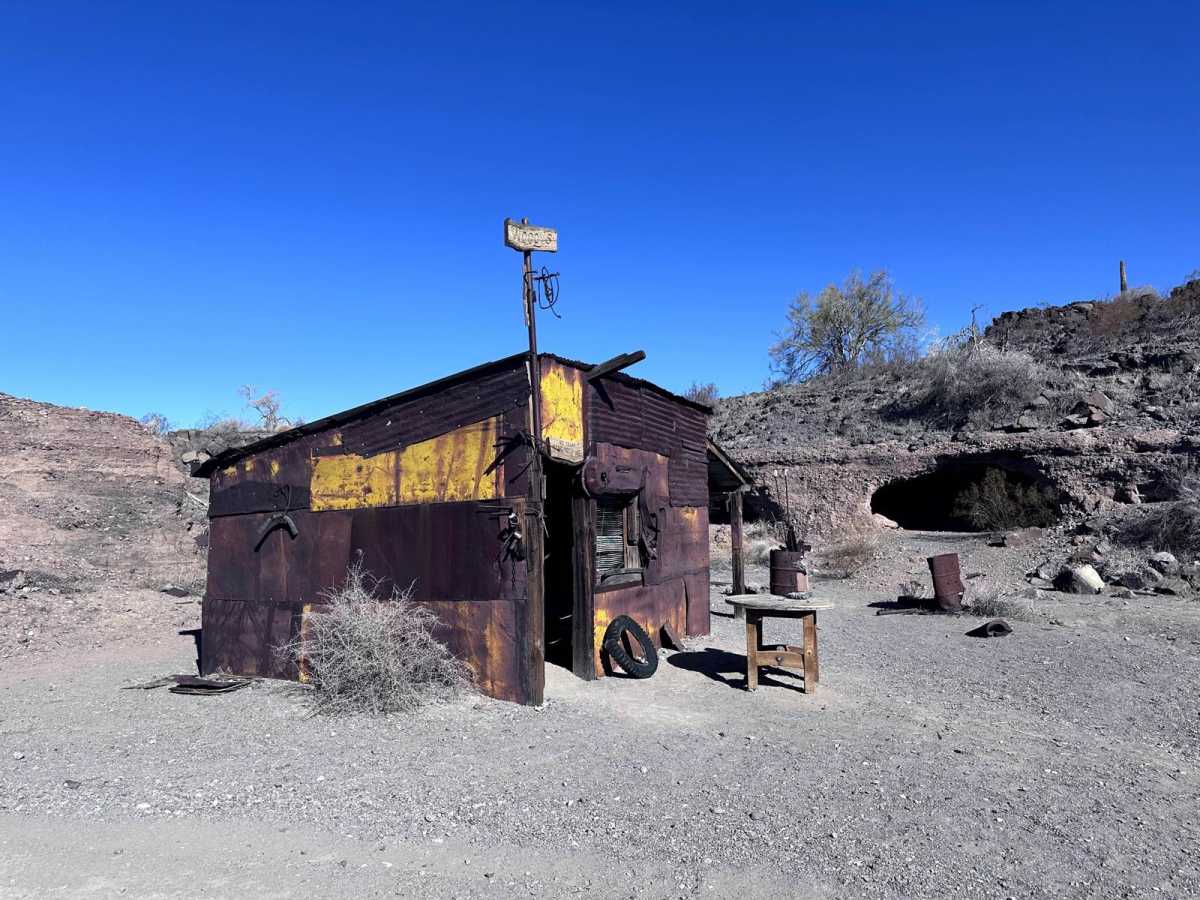 Lower Mohave Wash photo 4