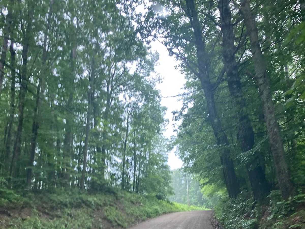Natty's Route photo 3