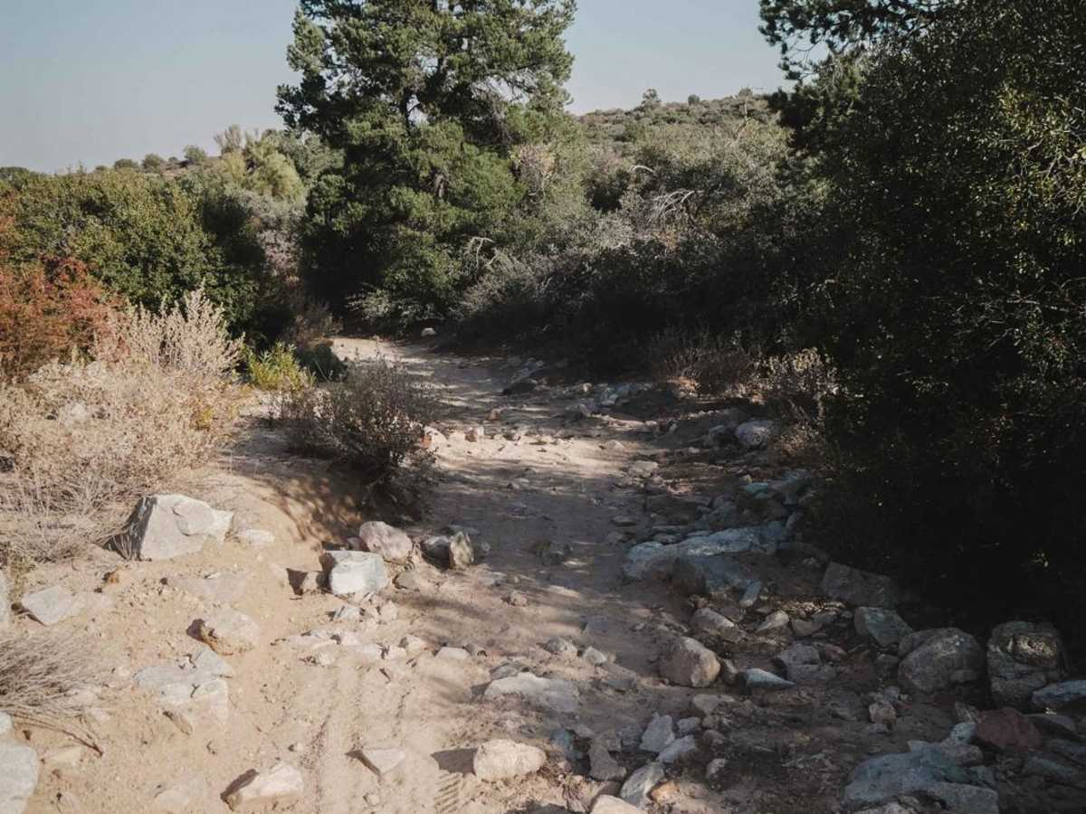 Cottonwood Loop #509 photo 3