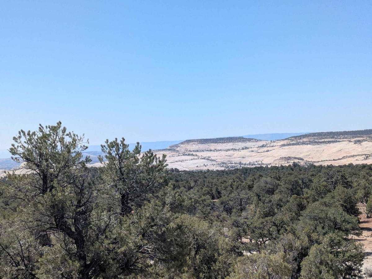 McGath Point Overlook 31431 photo 6