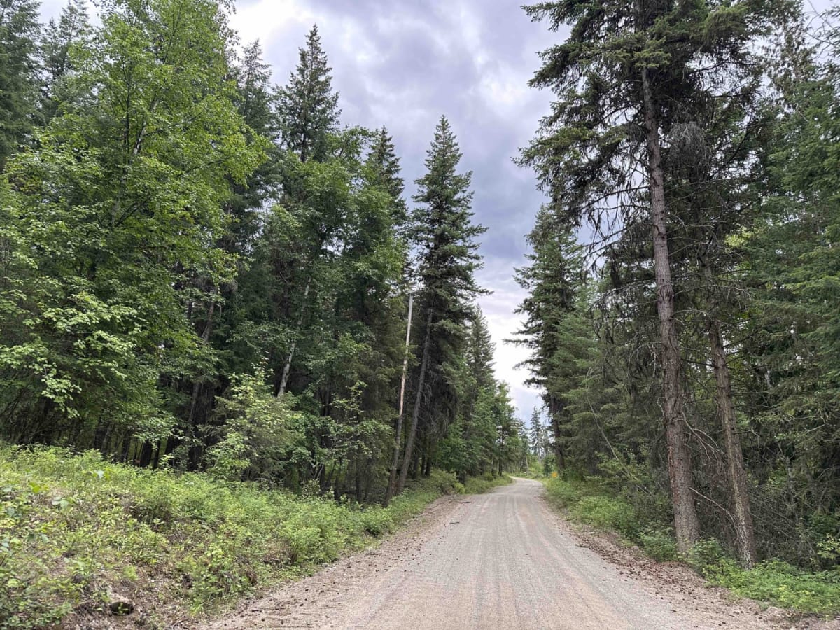 Boulder Mountain Access Road photo 4