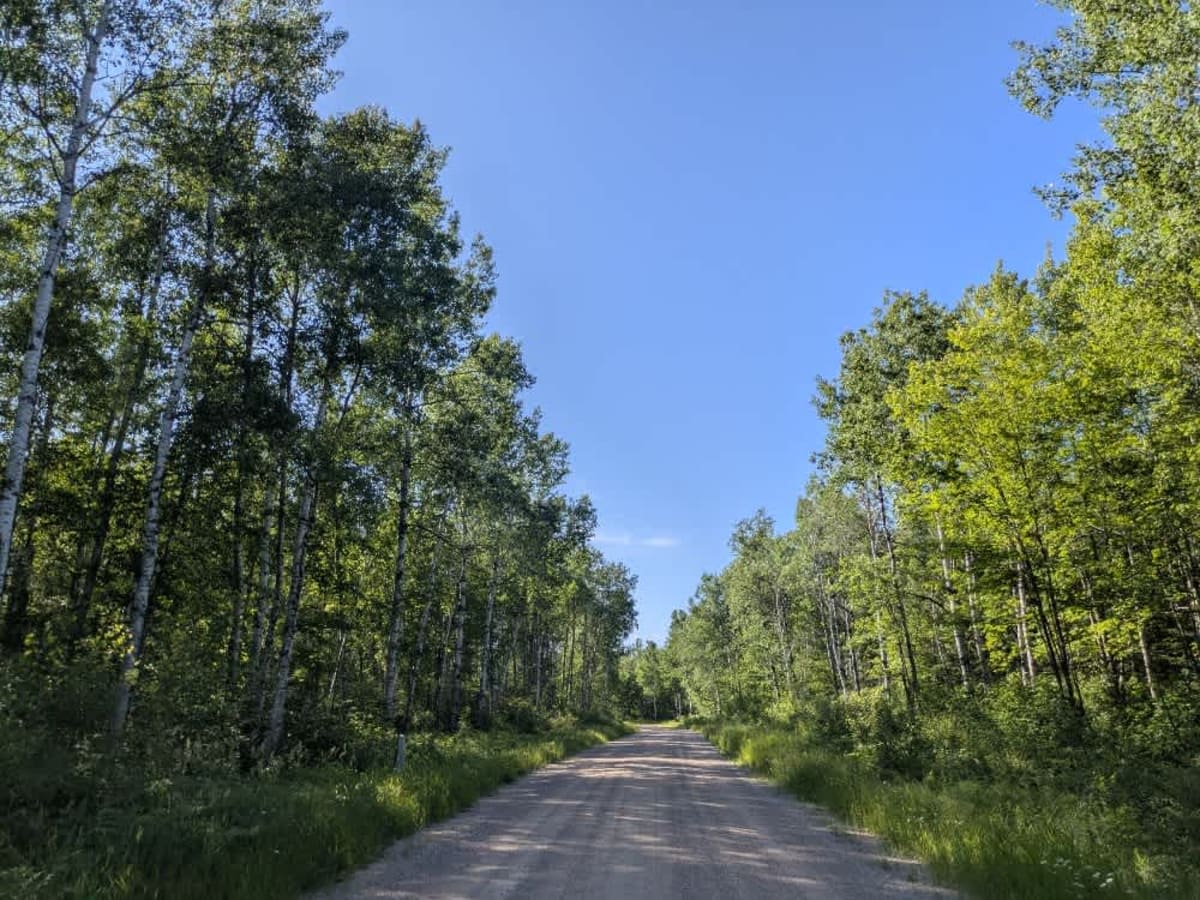 County Road 791 photo 5