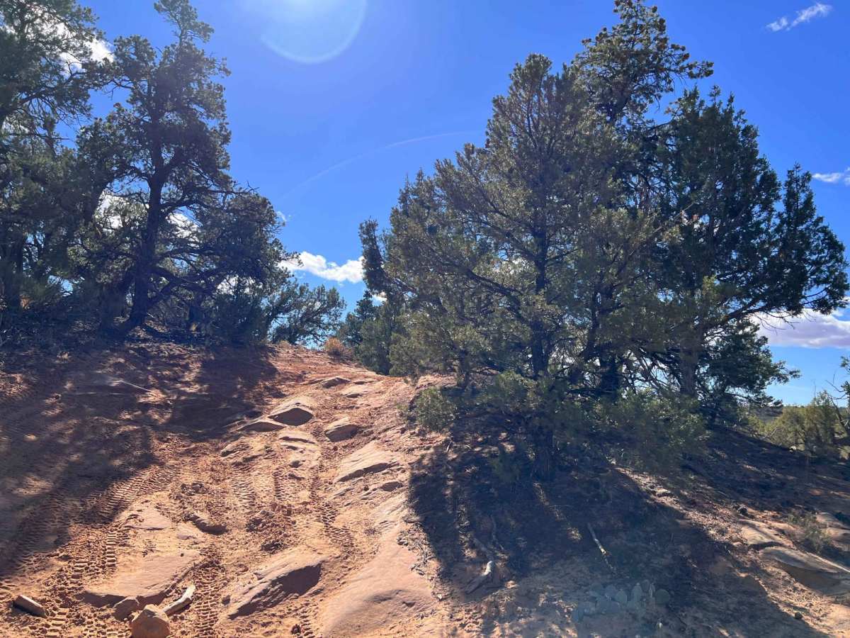 Hog Canyon 3 - City Loop (BLM HC3) photo 5