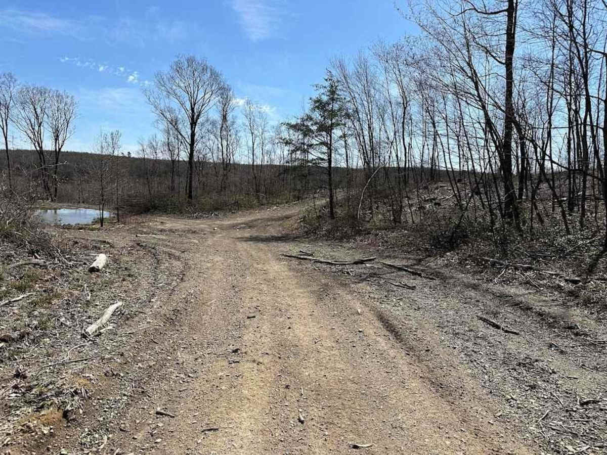 St. Keirns 63 trail photo