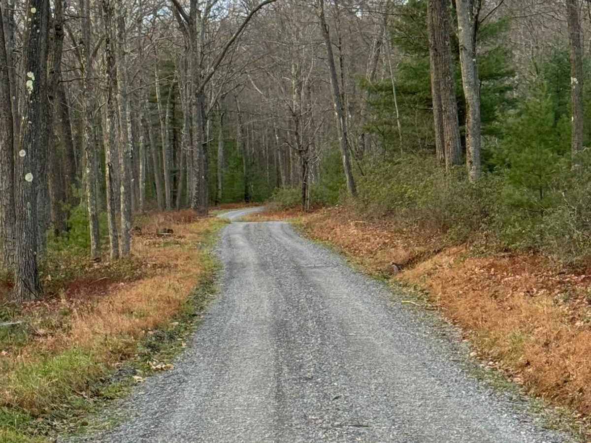 Middle Branch Road photo 3