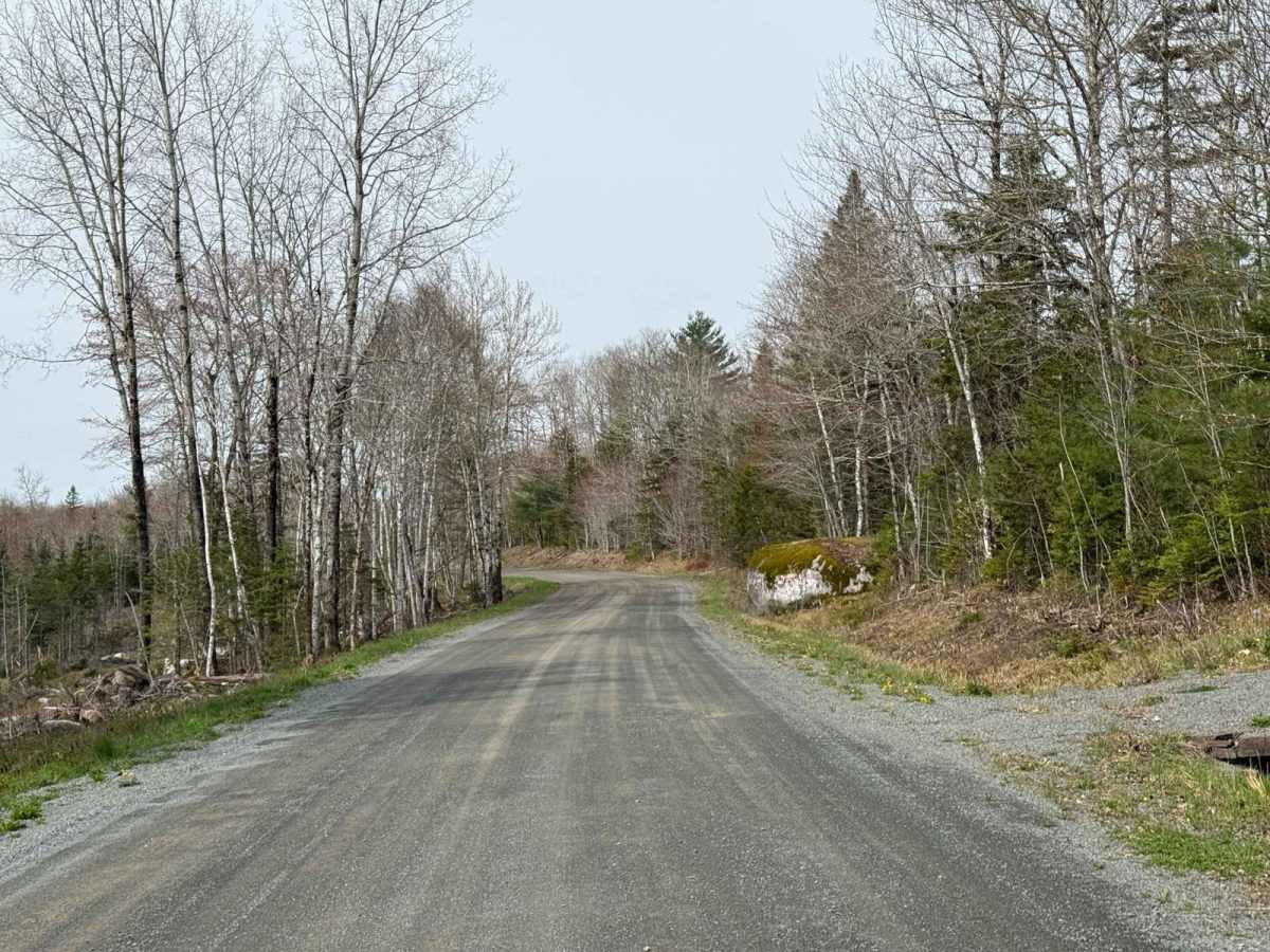 Mines Road photo 3