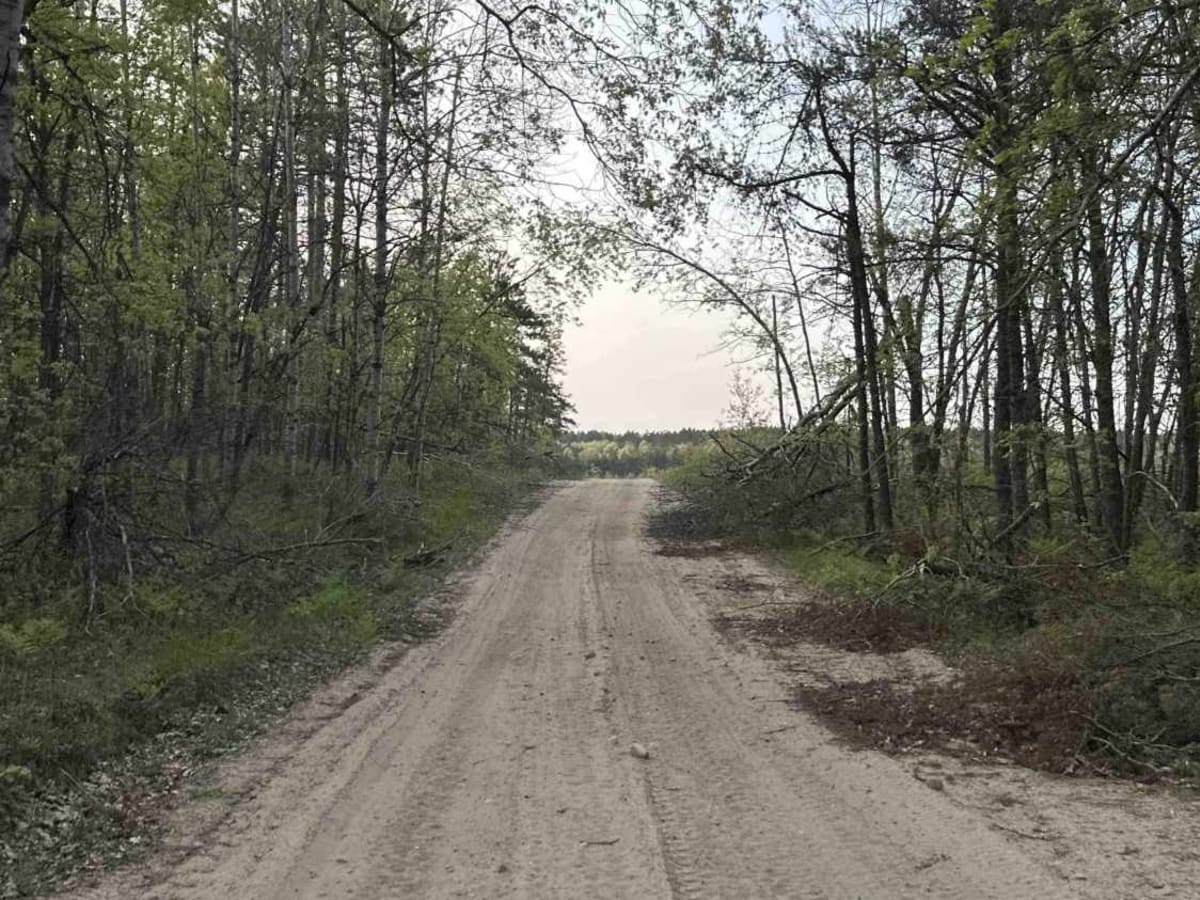 FS 4460 photo 3