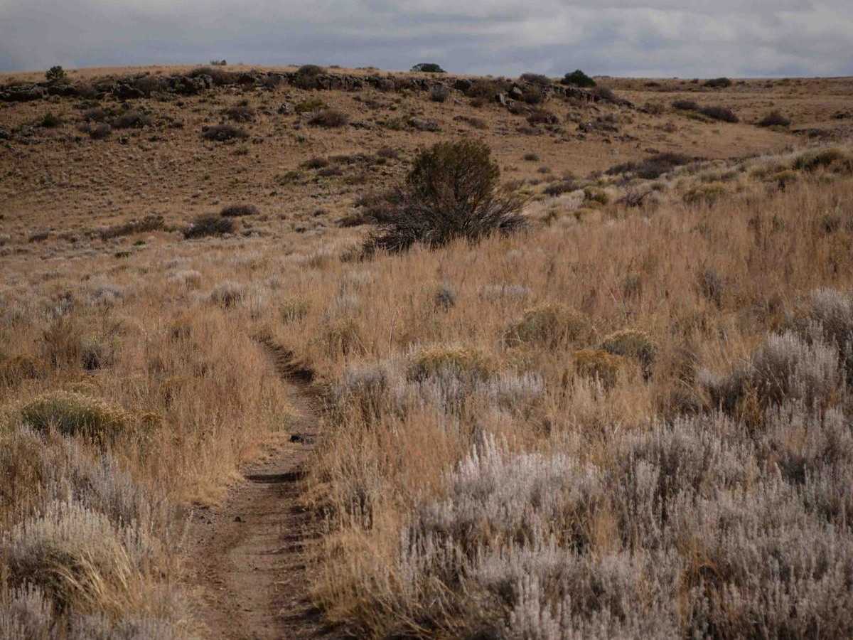 Popsico trail photo