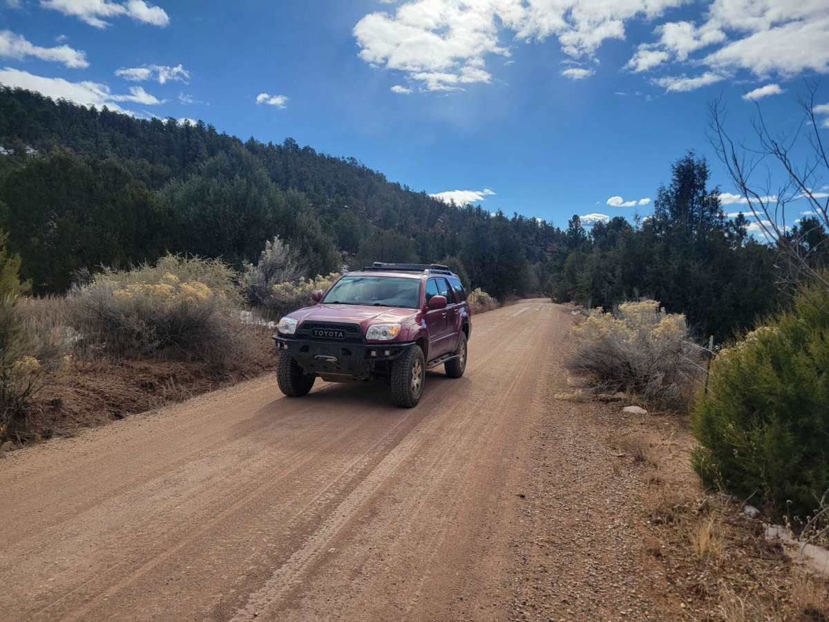 Molino Meadows trail photo