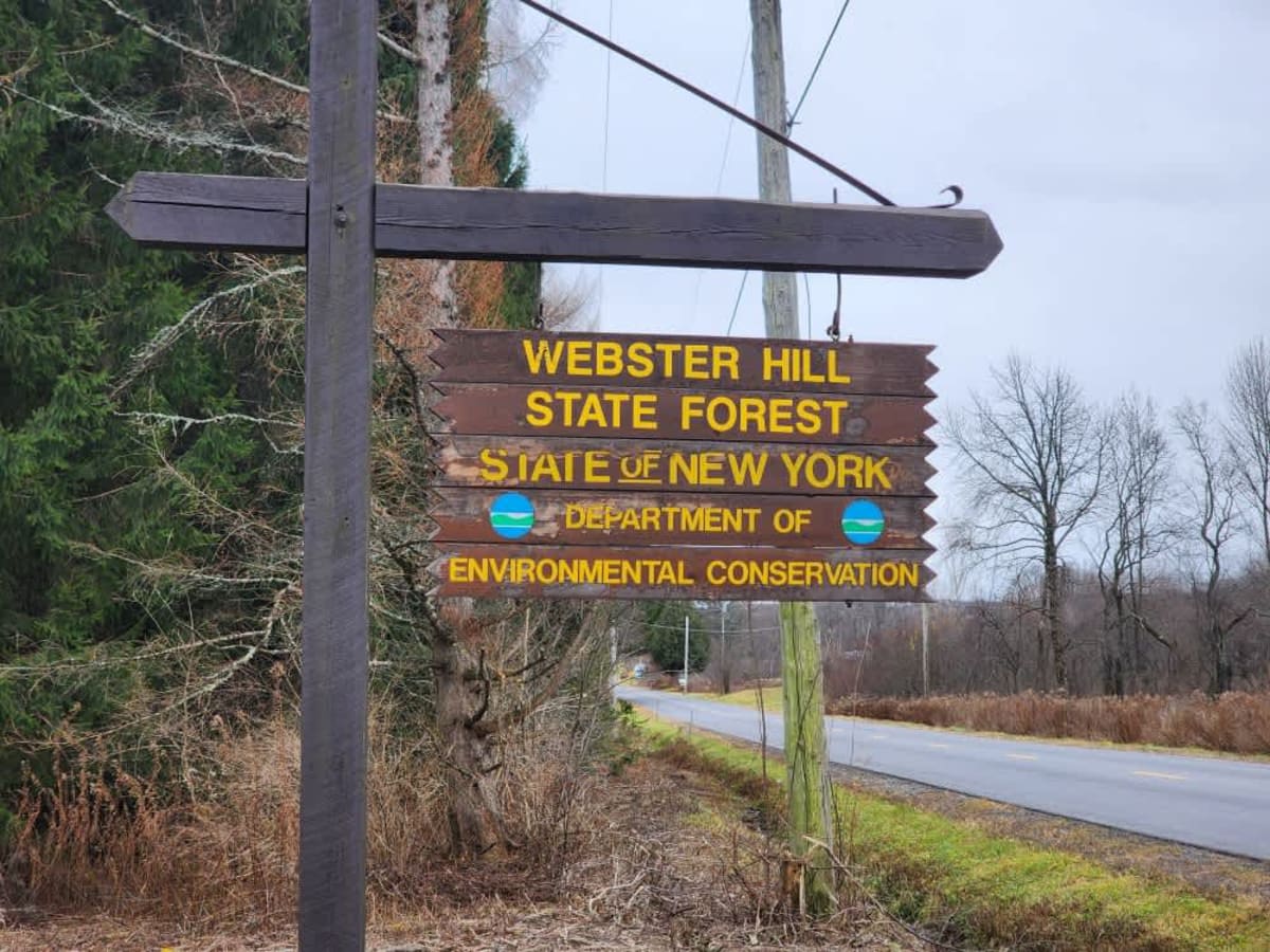 Webster Hill PFAR trail photo