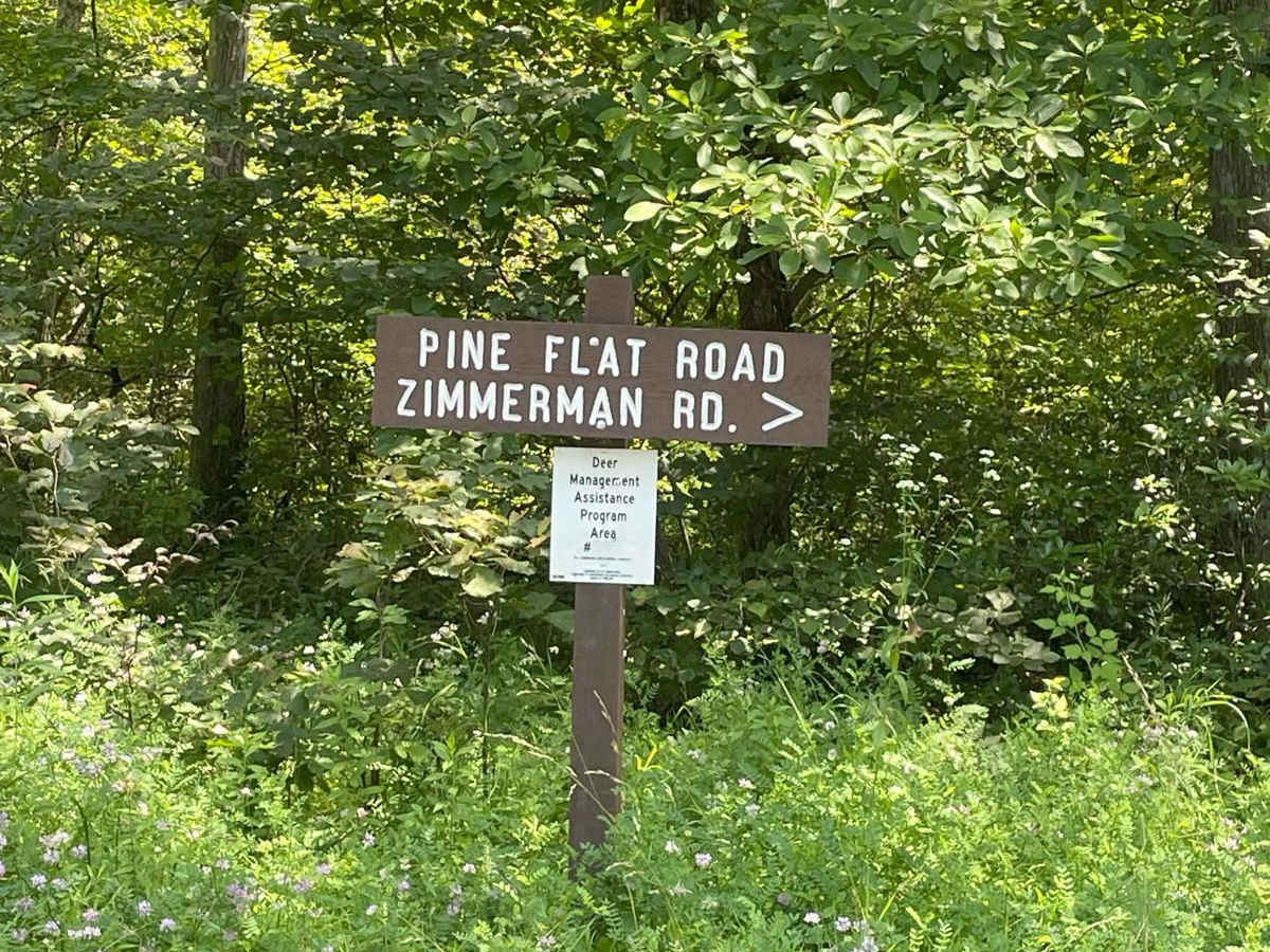 Pine Flat Road trail photo