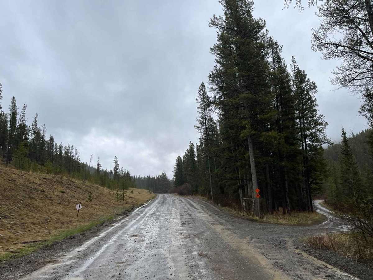 Waiparous Valley Road photo 5