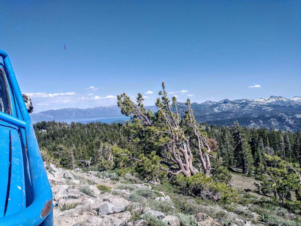 Ellis Lake Trail photo 4