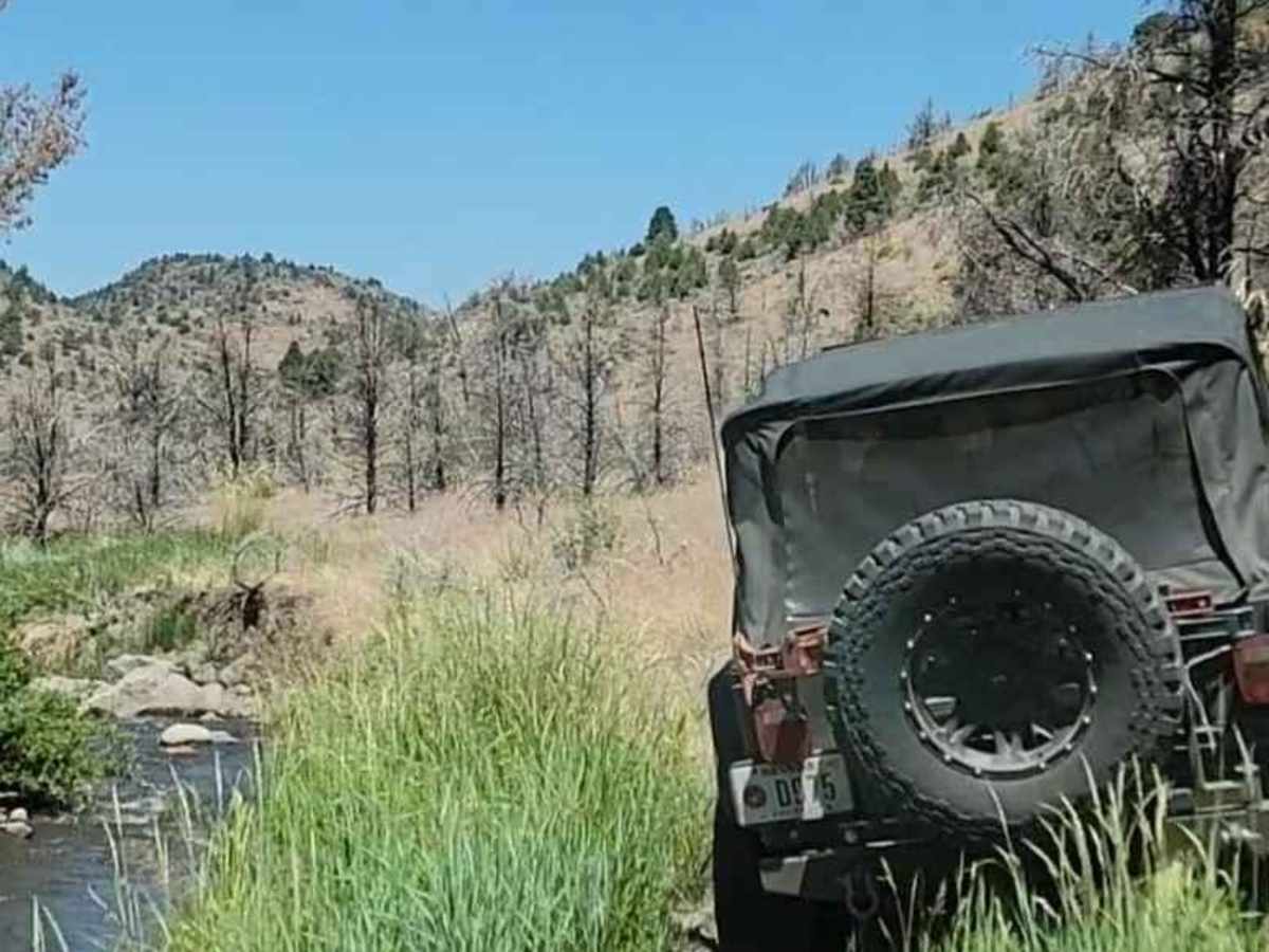 Poison Creek photo 2