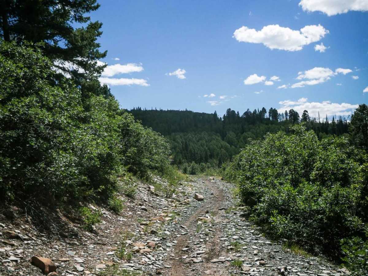 Box Canyon Spur photo 3