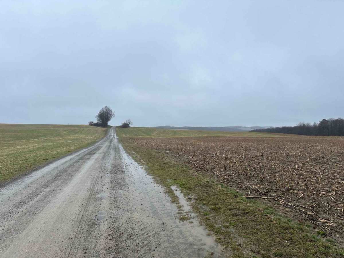 Landers Road photo 4