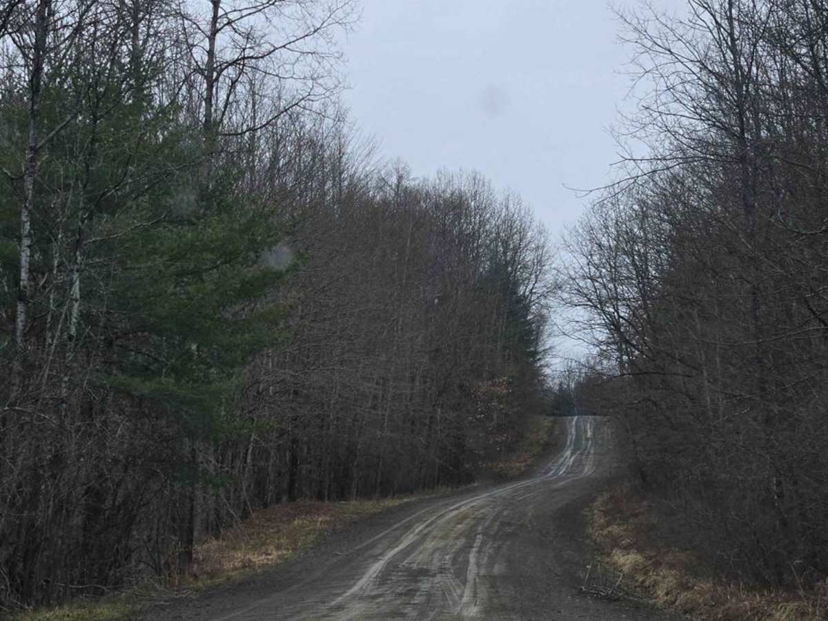 Templar Falls - Sugar Hill Road trail photo