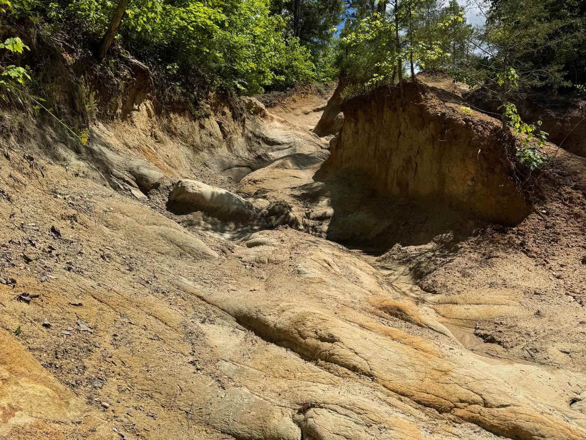 Radical Ravine photo 6
