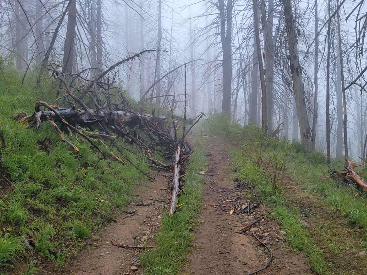 Upper Buck Mountain photo 6
