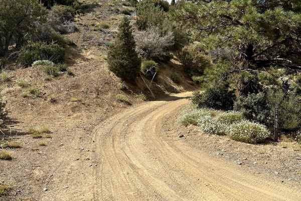 Pinyon Ridge Truck Trail