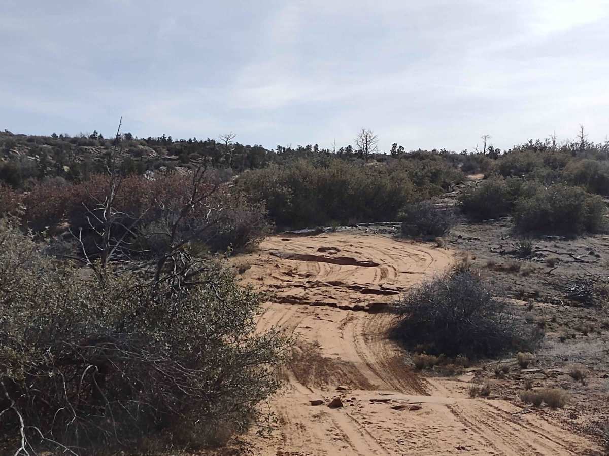 Leeds-Cottonwood Rock Crawling Playground photo 3