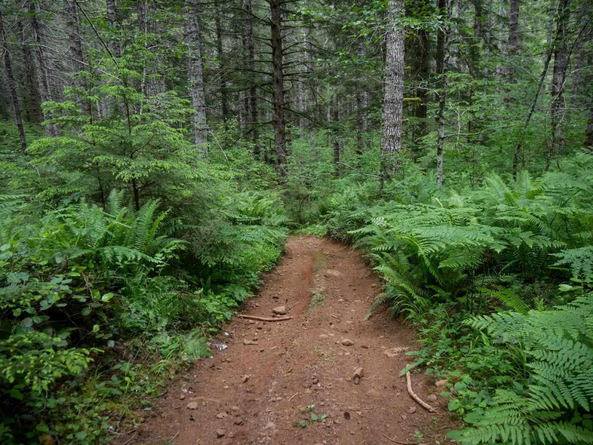 Plympton Creek photo 5