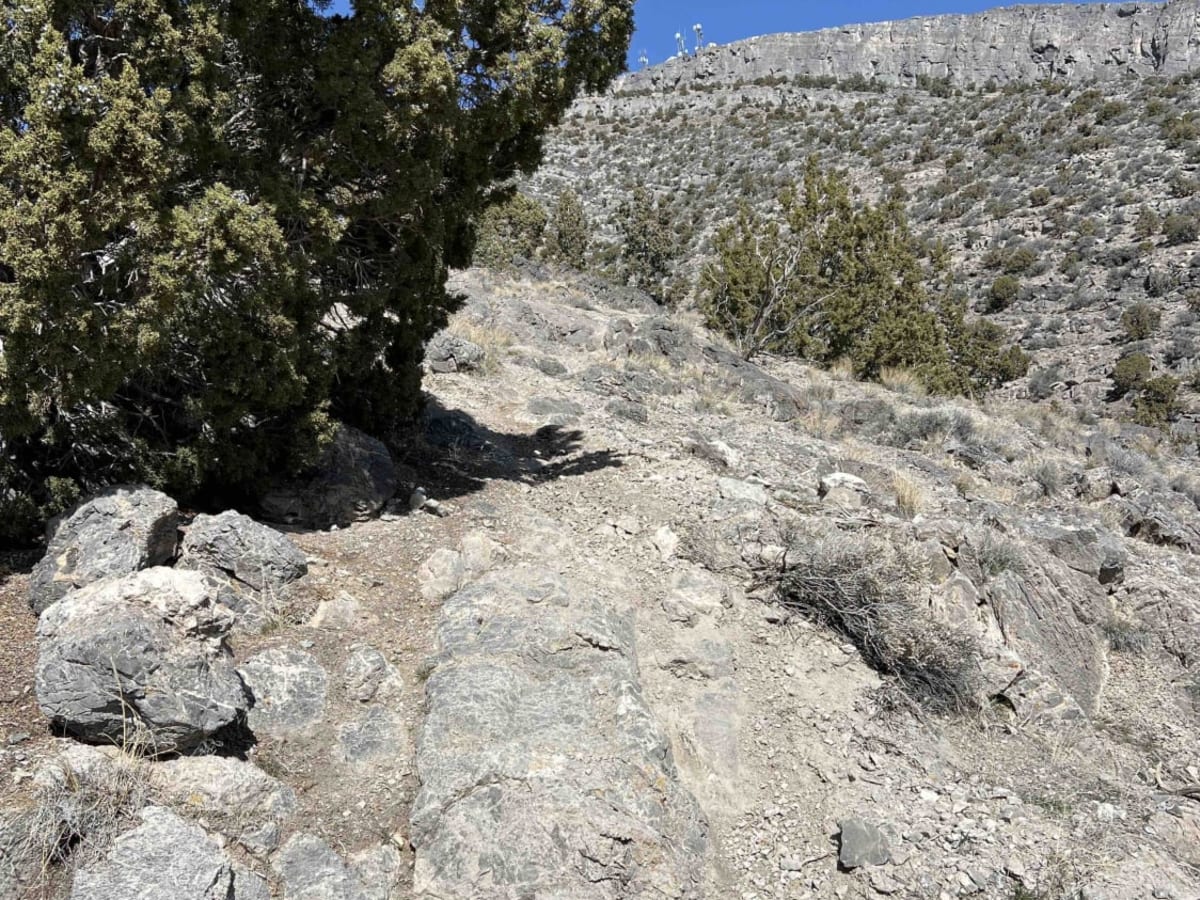 Foothills photo 6