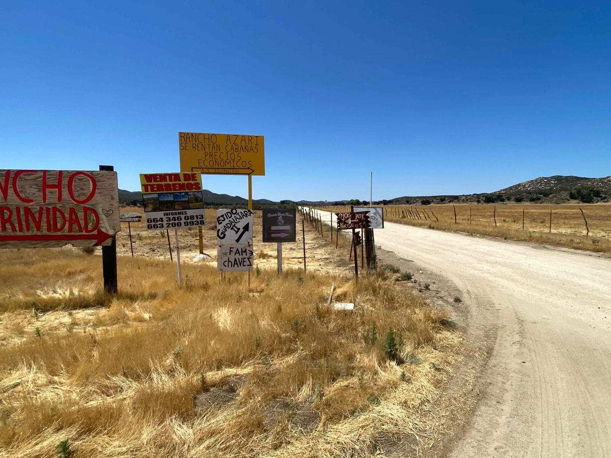 Old El Compadre Loop photo 3