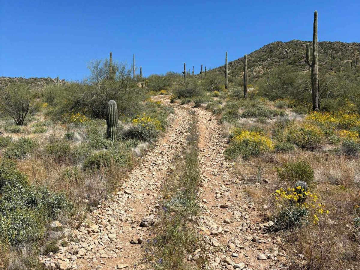 North Picacho Mountain Pass photo 2