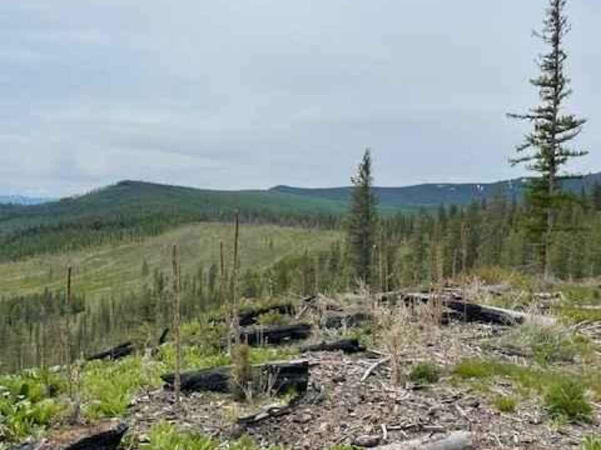 Hot Springs 3000 trail photo