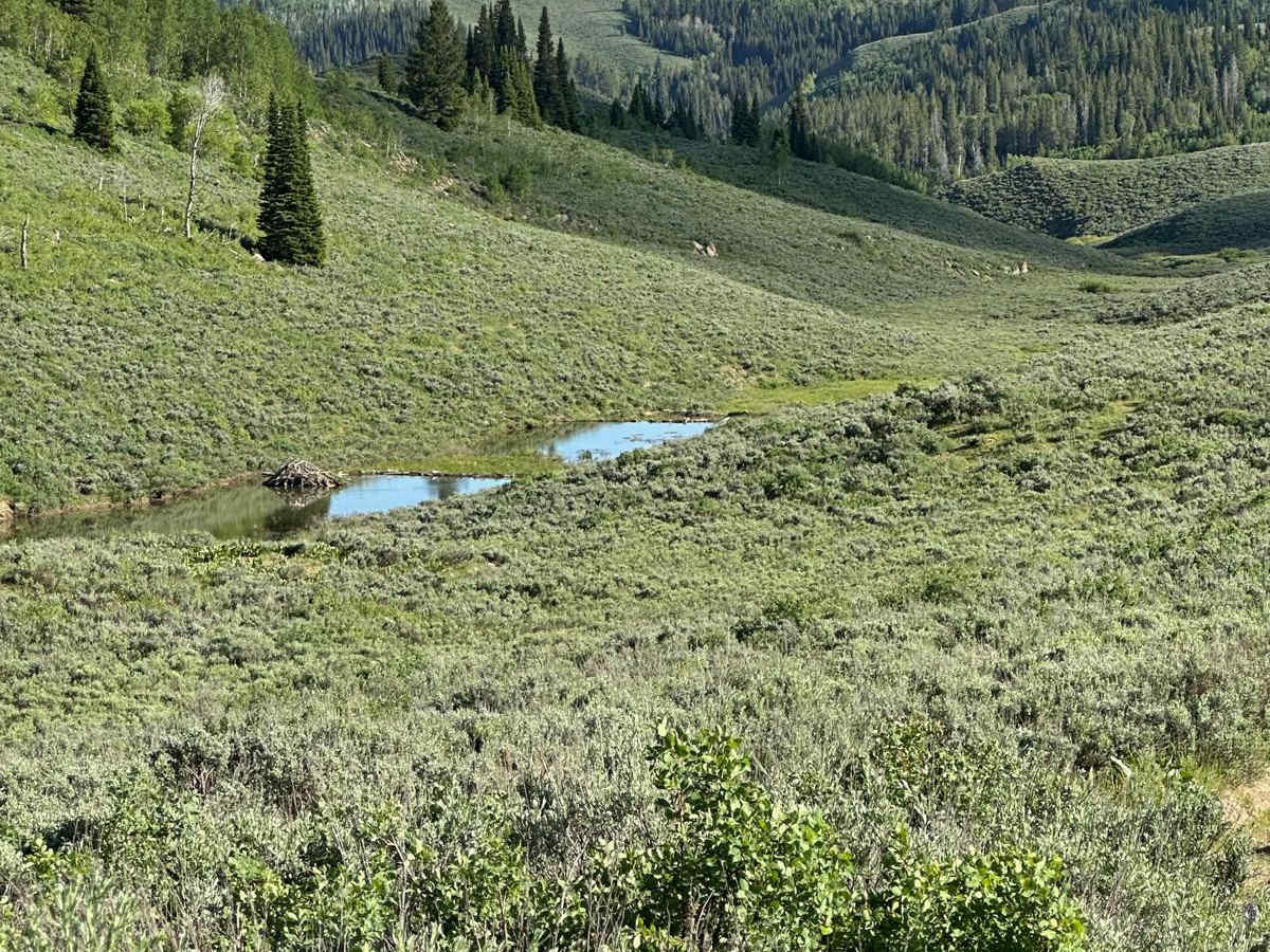 West Fork Smiths Fork trail photo