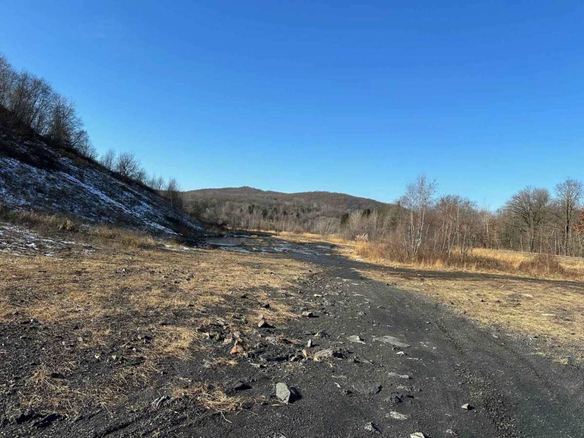 Locust Gap 60 photo 3