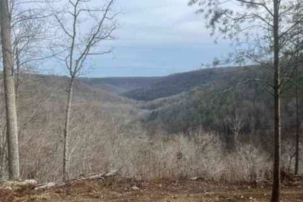 Coalmont OHV Trail 17 Blue