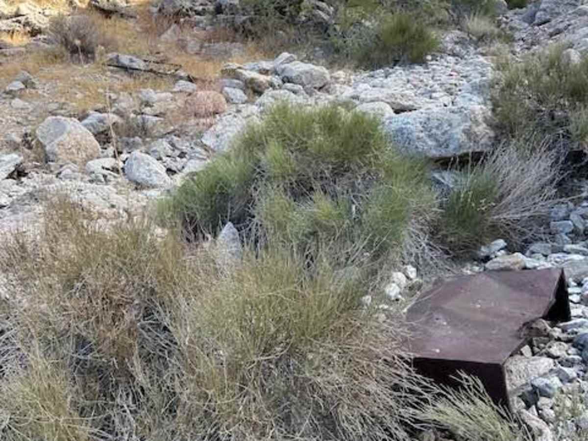 Tramp Mine Trail photo 2